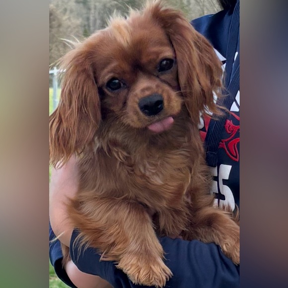 Meet your Posher, Sarah - Picture 16 of 16